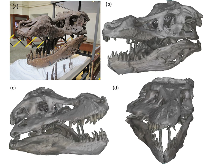 3D Scanning T-Rex Skull with Microsoft Kinect