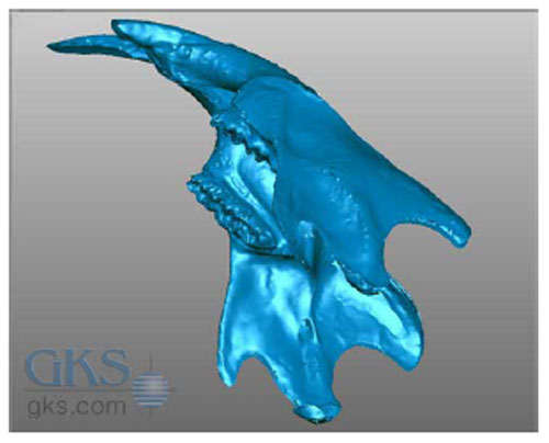 3D Scanning in Dentistry and Orthopedic